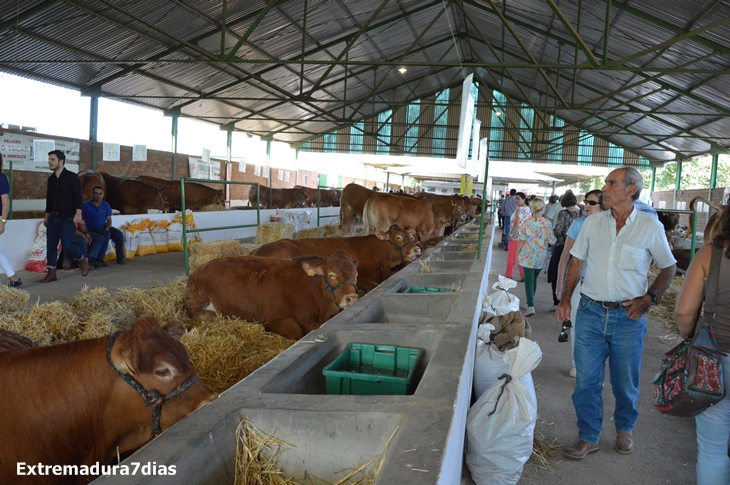 Ambiente en la Feria de Zafra