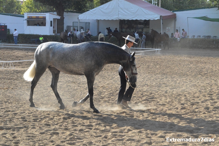 Ambiente en la Feria de Zafra