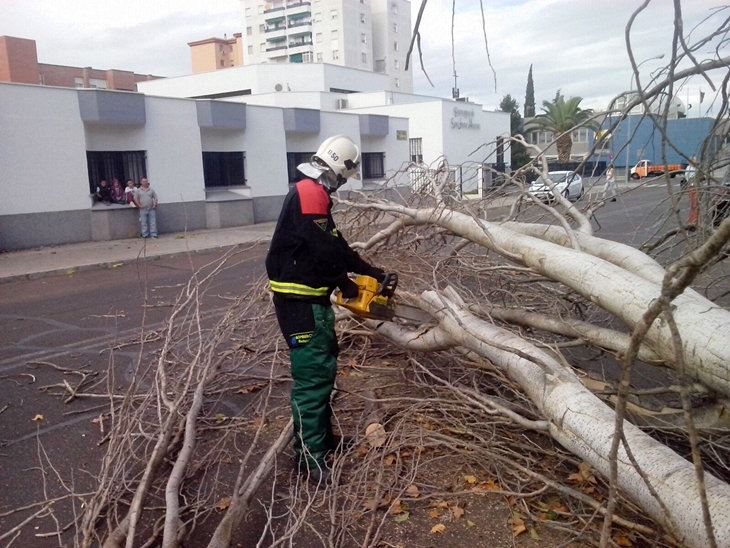 El viento que azota Badajoz causa daños materiales