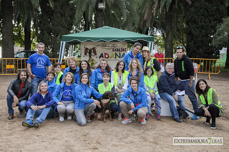 Un centenar de perros toman la Alcazaba de Badajoz