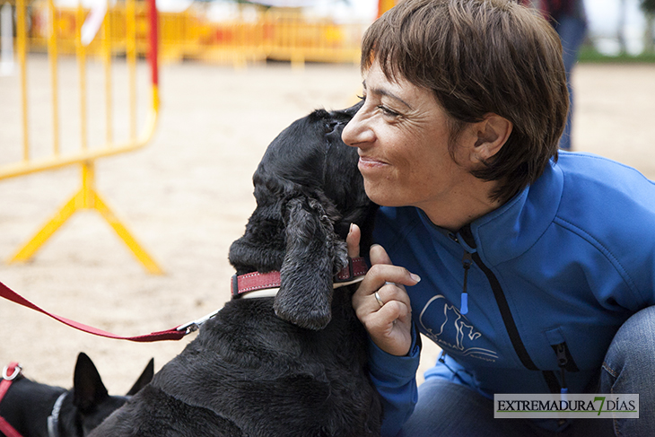 Un centenar de perros toman la Alcazaba de Badajoz