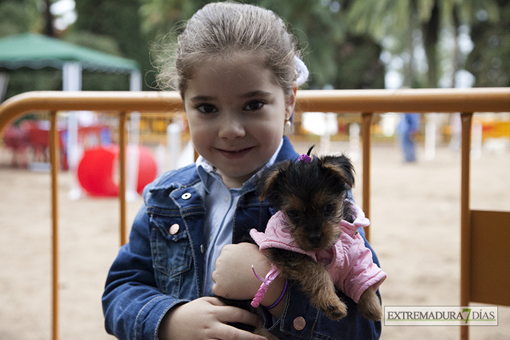 Un centenar de perros toman la Alcazaba de Badajoz