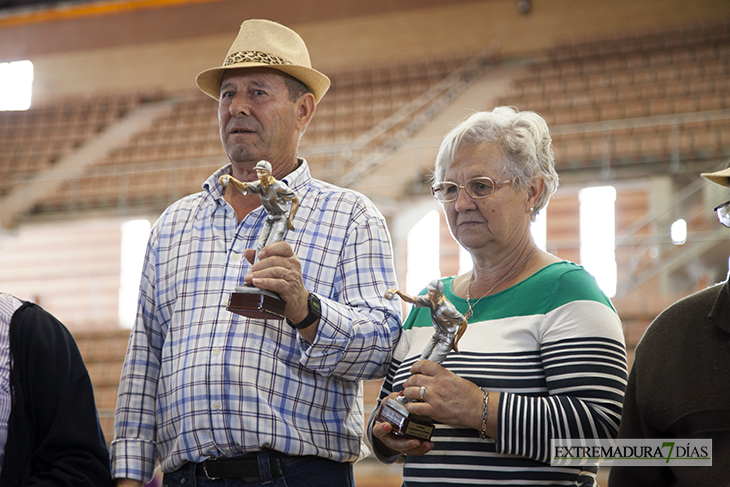 140 mayores participan en el II Campeonato Ciudad de Badajoz