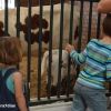 Ambiente en la Feria de Zafra