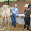 Ambiente en la Feria de Zafra