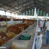 Ambiente en la Feria de Zafra