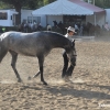 Ambiente en la Feria de Zafra