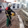 El viento que azota Badajoz causa daños materiales