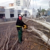 El viento que azota Badajoz causa daños materiales