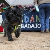 Un centenar de perros toman la Alcazaba de Badajoz