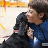 Un centenar de perros toman la Alcazaba de Badajoz