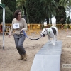 Un centenar de perros toman la Alcazaba de Badajoz