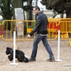 Un centenar de perros toman la Alcazaba de Badajoz