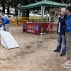 Un centenar de perros toman la Alcazaba de Badajoz