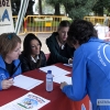 Un centenar de perros toman la Alcazaba de Badajoz