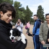 Un centenar de perros toman la Alcazaba de Badajoz