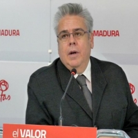 Sánchez Amor será el nuevo coordinador de la OSCE en las elecciones turcas