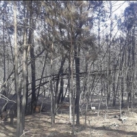 Extremadura le pide a Rajoy 50 millones de euros para recuperar la Sierra de Gata
