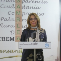 Teniente asegura que el Plan de Ajustes de Vara significa &quot;una subida de impuestos”