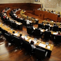 La Asamblea  aprueba un gran pacto por el ferrocarril de la región
