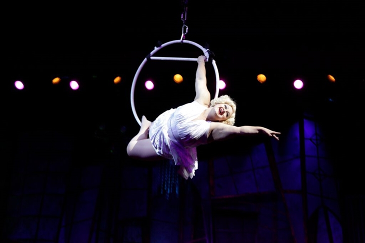 Cabaret, teatro y circo se unen en el espectáculo &#39;The Hole&#39;