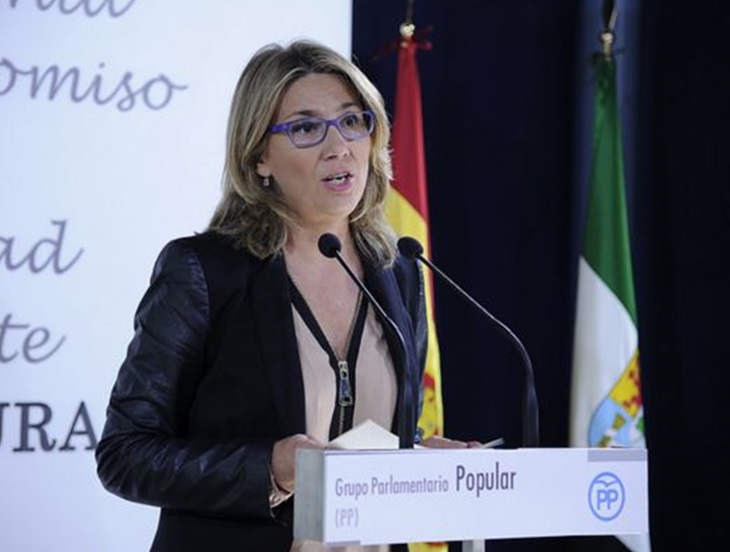 El PP exige a Vergeles que explique “porqué paraliza infraestructuras sanitarias”