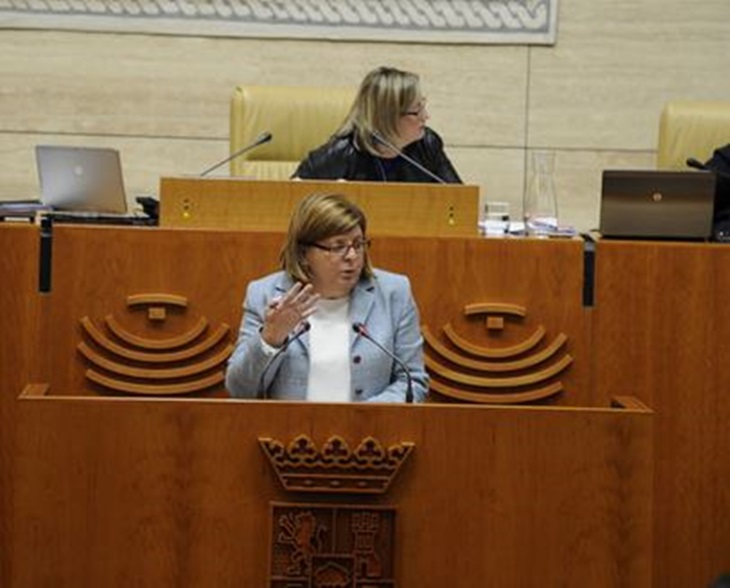 La Asamblea aprueba la elaboración de un protocolo de actuación en casos de acoso y ciber escolar