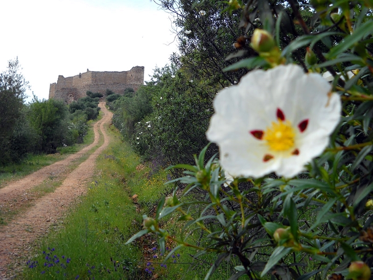 Los habitantes de Portezuelo se vuelcan con la IX subida al Castillo