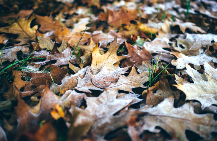 Extremadura registra la noche más frías del otoño: -3ºC en Villafranca de los Barros