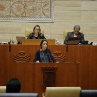 El PP se opone al plan de garantía habitacional para las víctimas de violencia de género