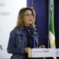 PP: “El tripartito da carpetazo a nuestra propuesta de modificación del mapa sanitario”