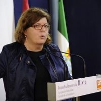 C&#39;s no descarta enmiendas si los presupuestos “no se ajustan a la realidad”