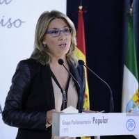 El PP exige a Vergeles que explique “por qué paraliza infraestructuras sanitarias”