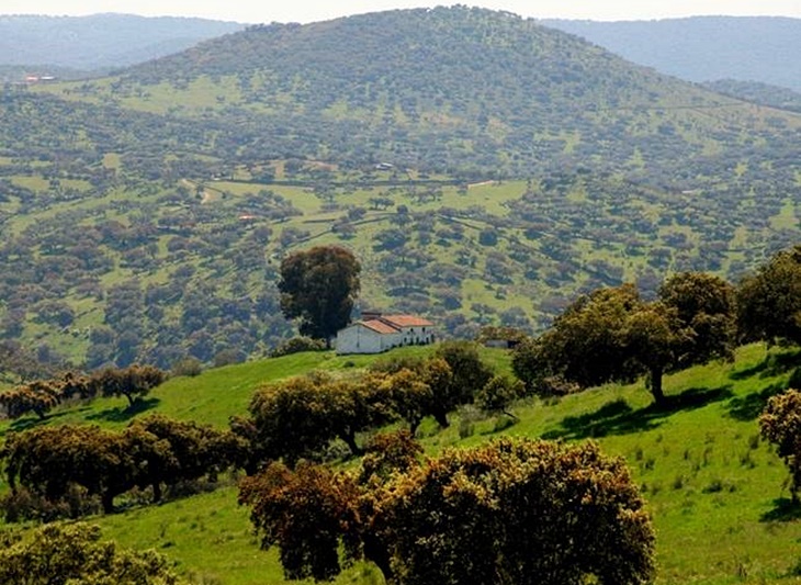 Medios portugueses conocen la gastronomía extremeña y la cultura de la dehesa y el toro