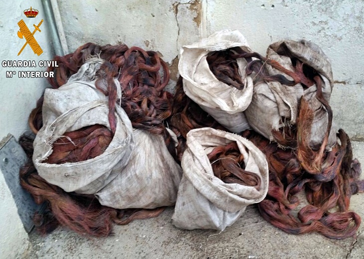 Detenidos tres vecinos de Almendralejo por doce robos en Badajoz y Córdoba