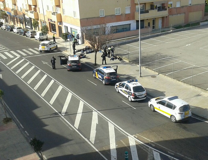 Varios heridos y 20 detenidos en una pelea entre ultras del Mérida y el Cádiz