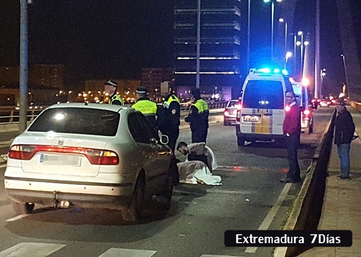 Nuevo atropello en el Puente Real de Badajoz Nuevo atropello en el Puente Real de Badajoz