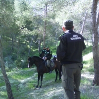 Los policías medioambientales se sienten indefensos