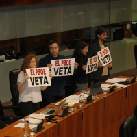 Podemos interrumpe el pleno para criticar que el “PSOE veta” sus propuestas