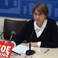 PSOE Badajoz pide la dimisión de la concejala de Servicios Sociales