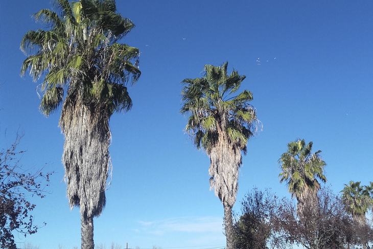 Varios lugares de Valdebótoa presentan un estado de abandono