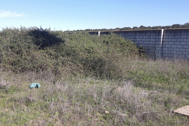 Varios lugares de Valdebótoa presentan un estado de abandono