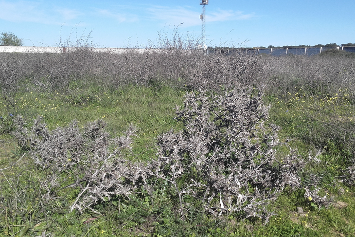 Varios lugares de Valdebótoa presentan un estado de abandono