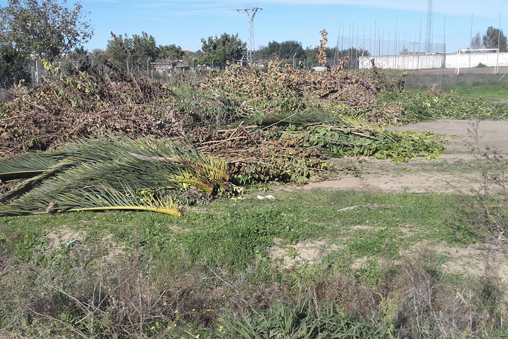 Varios lugares de Valdebótoa presentan un estado de abandono