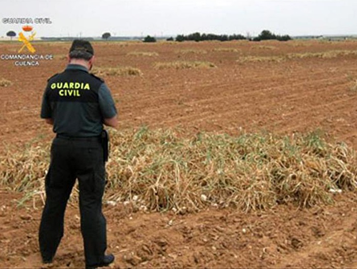 UPA-UCE tratará mañana con Vara los alarmantes robos en el campo