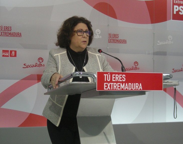 PSOE: “El Congreso no puede estar parado mientras se forma el nuevo gobierno”
