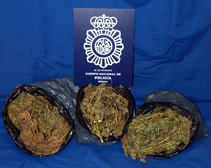 Detenido un joven de Mérida por traficar con marihuana