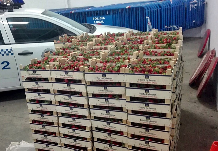 Intervienen cerca de 670 kilos de fruta destinada a la venta ilegal