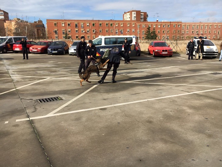 La Policía Nacional realiza una exhibición dirigida a los más pequeños