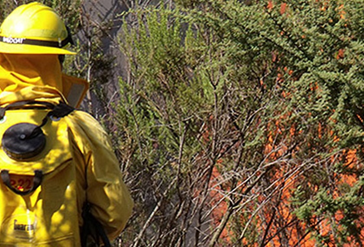 Denuncian las críticas hacia los ganaderos por los incendios en el norte